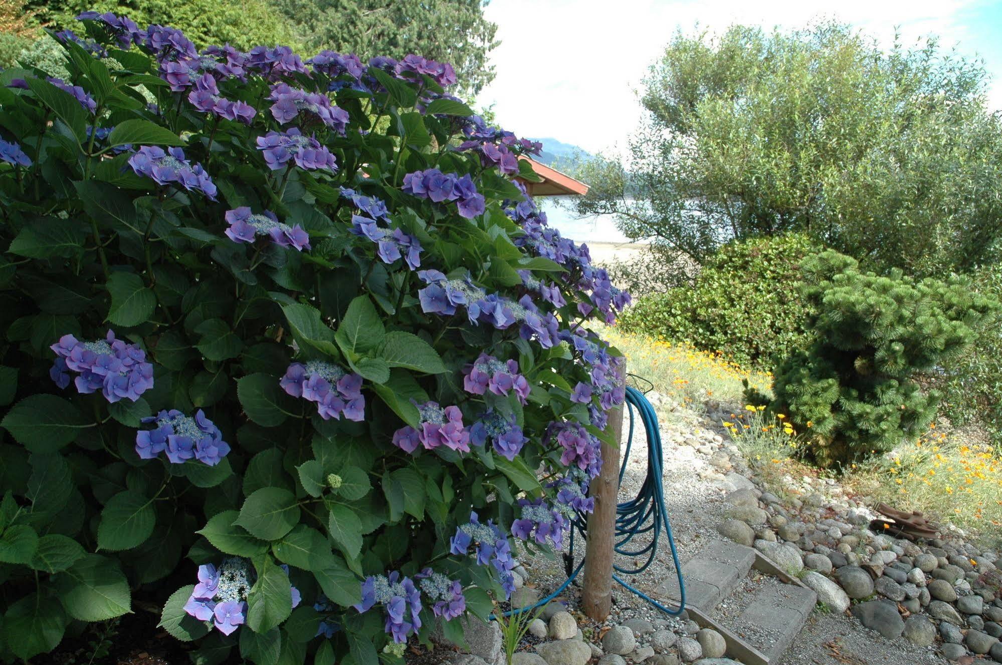 At The Shore Bed And Breakfast Сешелт Екстериор снимка